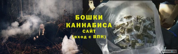 ECSTASY Богородицк