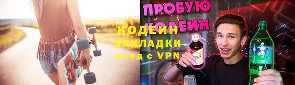 индика Приозерск