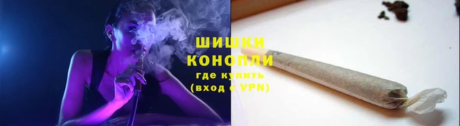 ECSTASY Богородицк