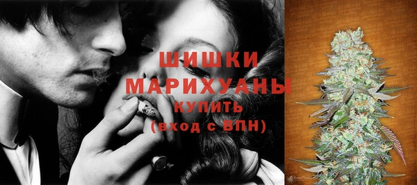 ECSTASY Богородицк