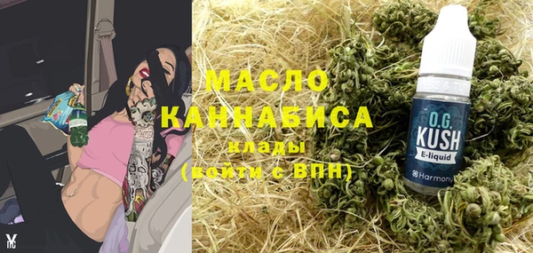 индика Приозерск